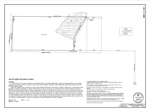 a view of a lush green forest