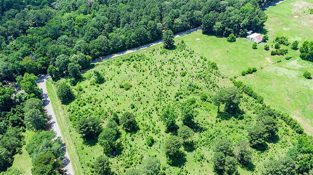 0 Green Park Road Doyline, LA 71023 - Photo 13 of 14