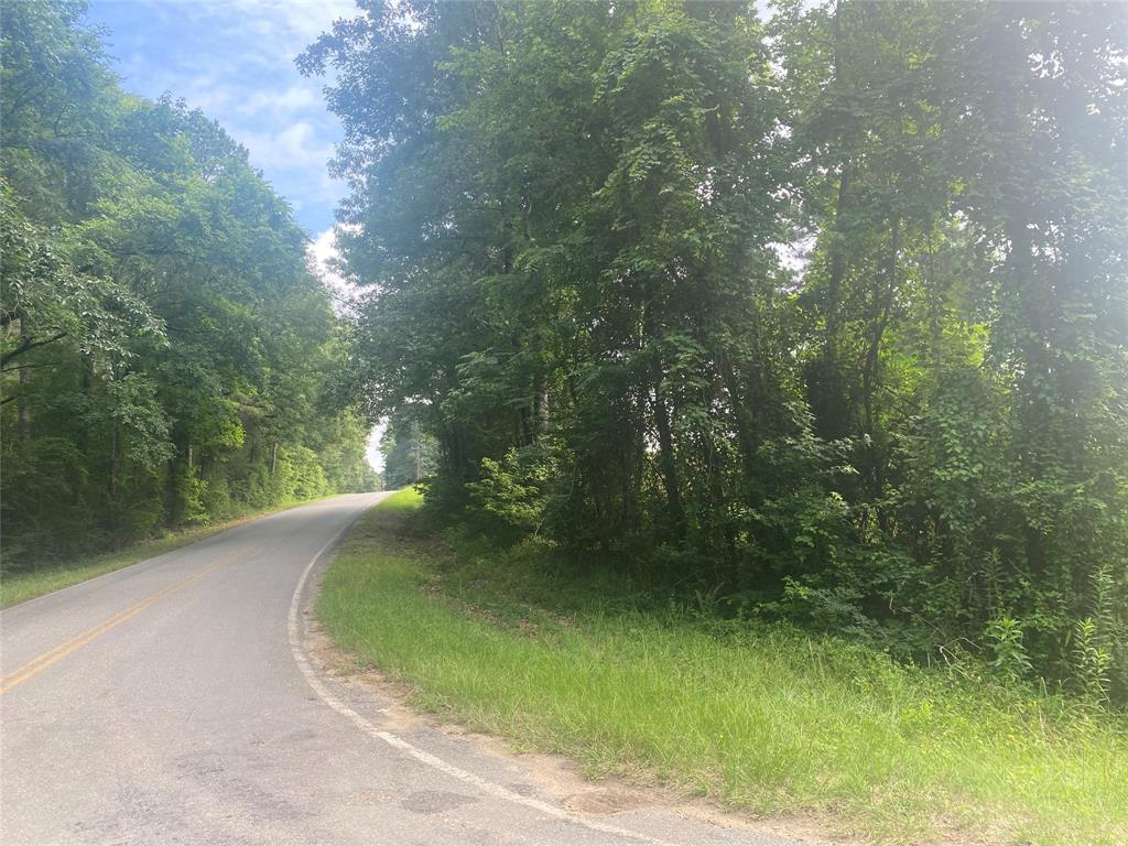 0 Green Park Road Doyline, LA 71023 - Photo 3 of 14