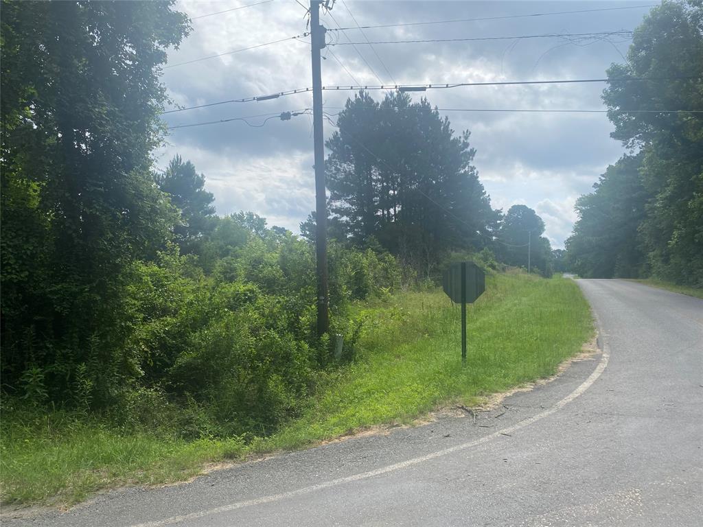 0 Green Park Road Doyline, LA 71023 - Photo 4 of 14