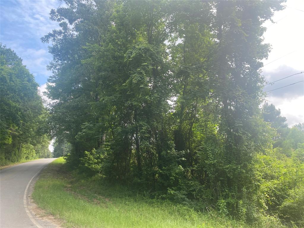 0 Green Park Road Doyline, LA 71023 - Photo 5 of 14