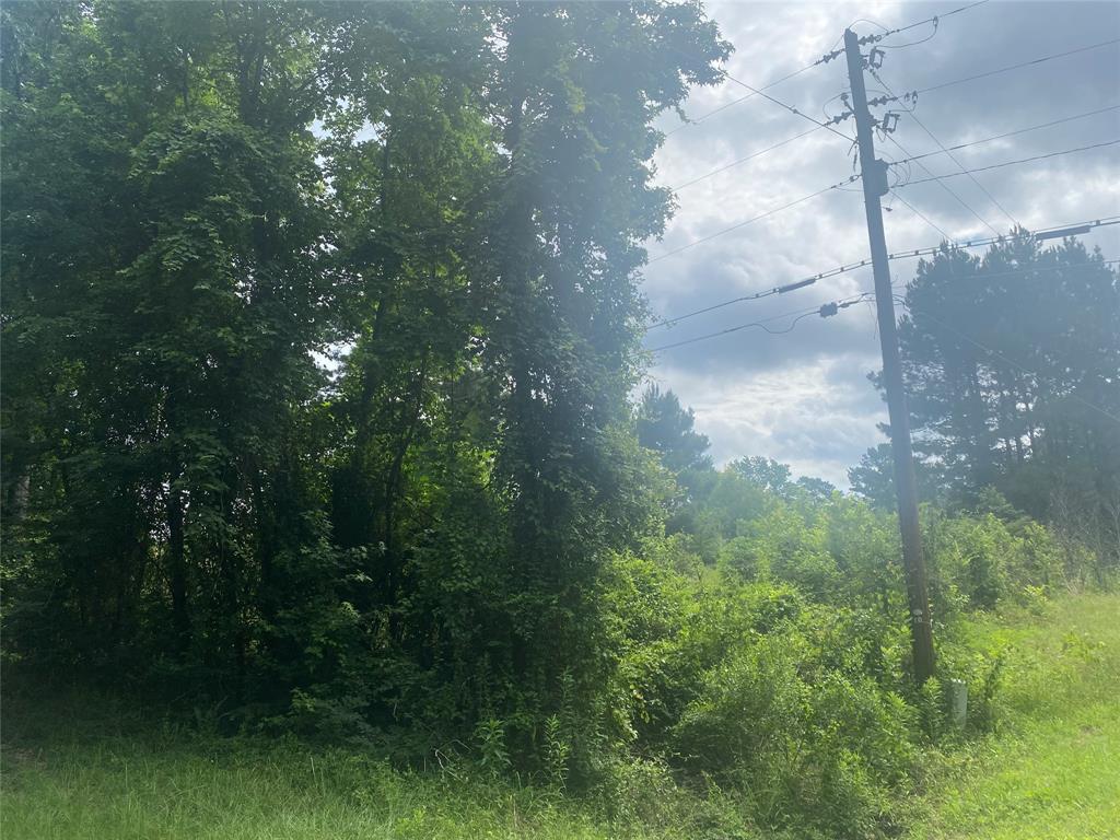 0 Green Park Road Doyline, LA 71023 - Photo 6 of 14