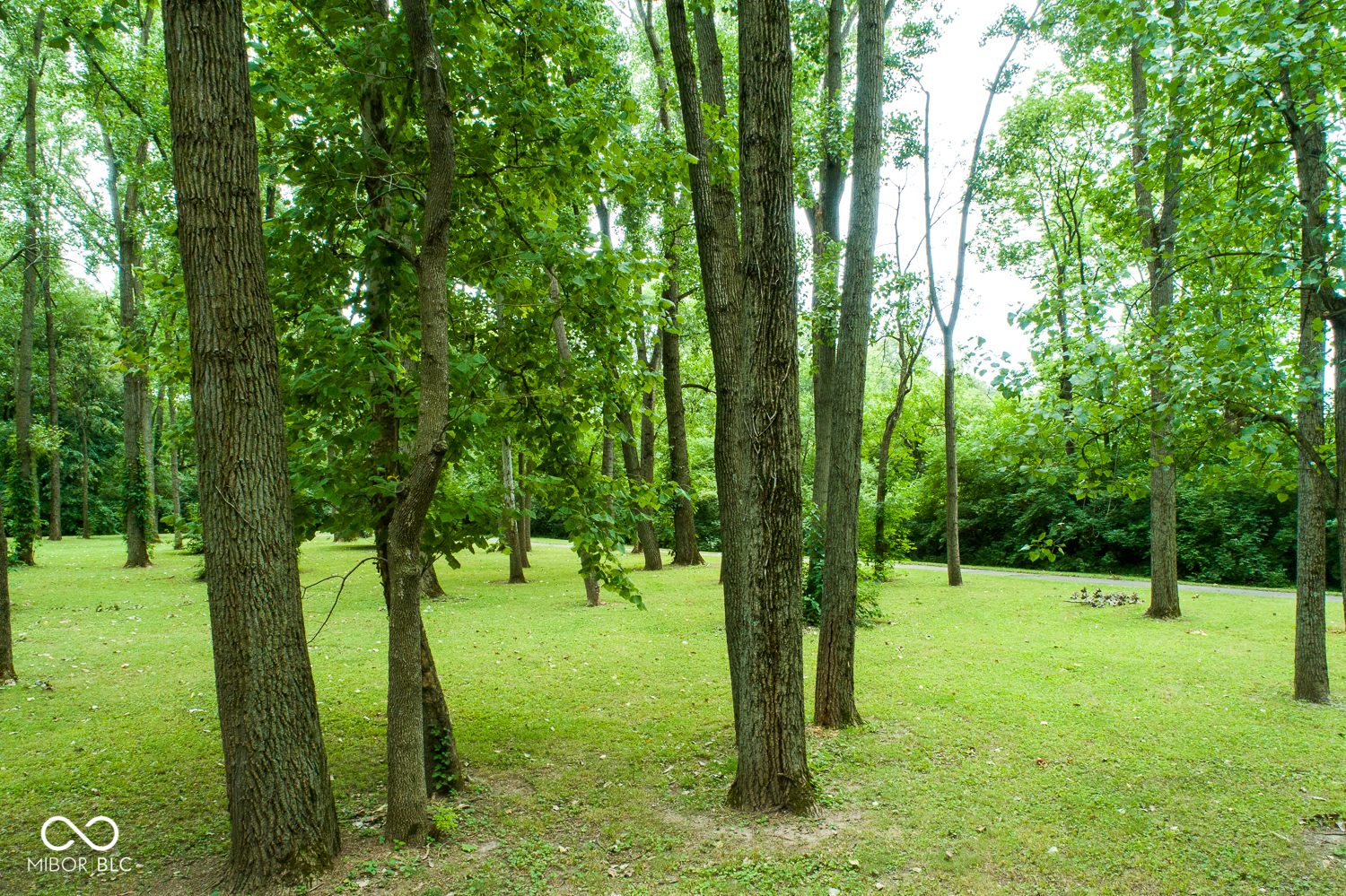 4604 West 47th Street Indianapolis, IN 46254 - Photo 28 of 41