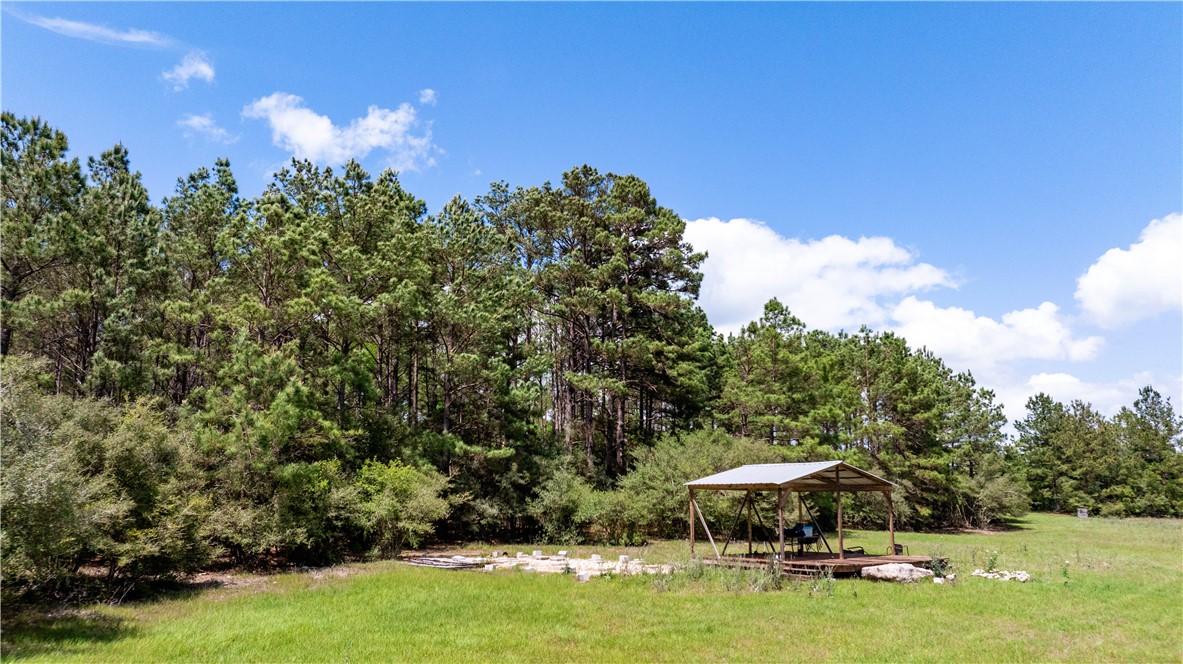 2199 Navasota Ridge Navasota, TX 77868 - Photo 25 of 30
