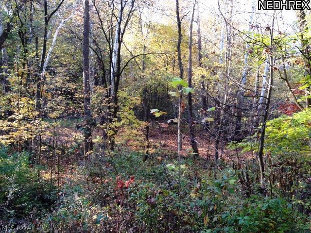 3900 West West Salem Road Burbank, OH 44214 - Photo 17 of 18