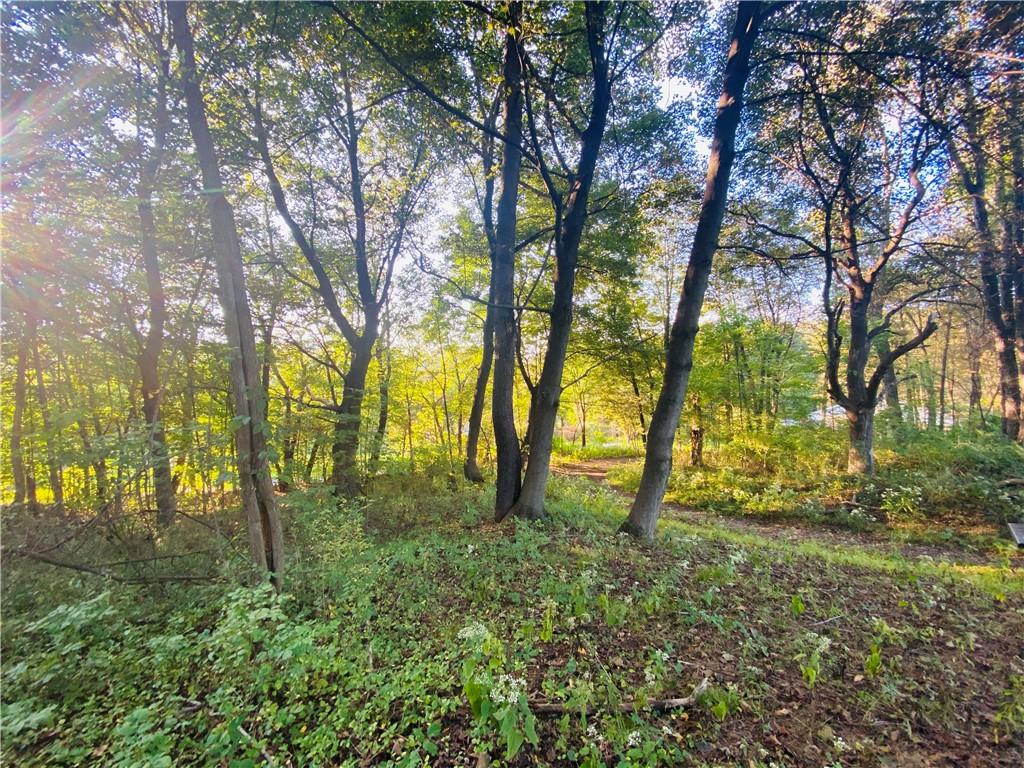 542 Enon Road Enon Valley, PA 16120 - Photo 1 of 11 a view of outdoor space with trees