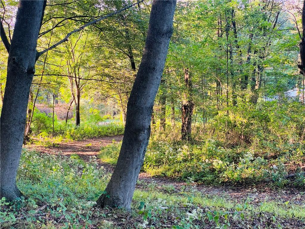 542 Enon Road Enon Valley, PA 16120 - Photo 2 of 11 a view of a yard with plants and large trees