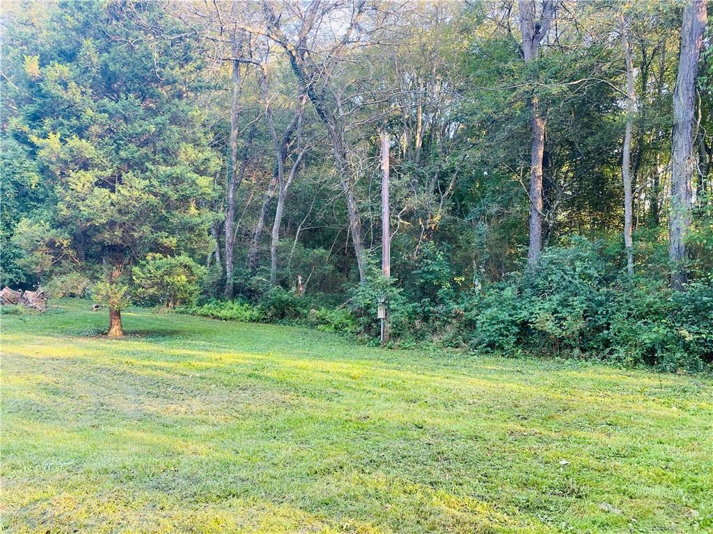 542 Enon Road Enon Valley, PA 16120 - Photo 4 of 11 a view of a grassy field with trees in the background