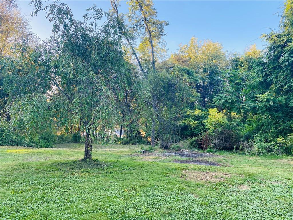 542 Enon Road Enon Valley, PA 16120 - Photo 5 of 11 a view of a tree in a yard