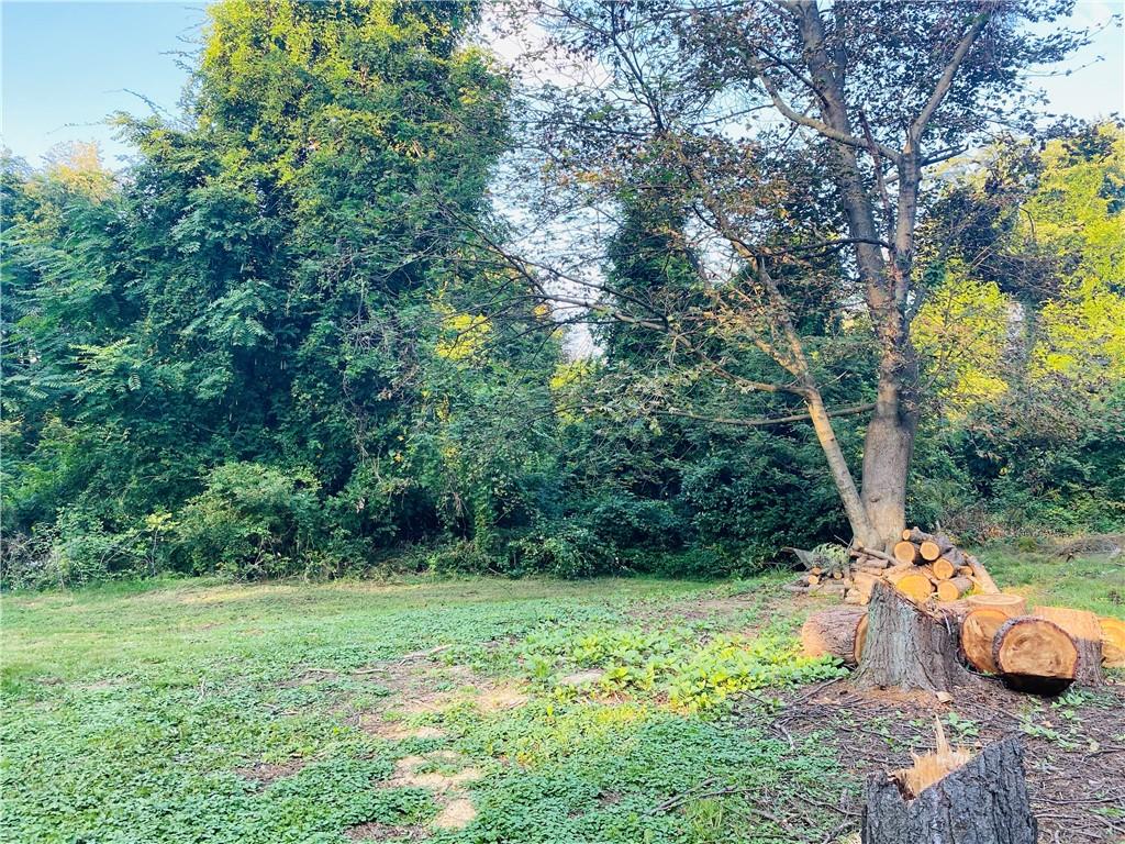 542 Enon Road Enon Valley, PA 16120 - Photo 6 of 11 a view of a yard with large trees