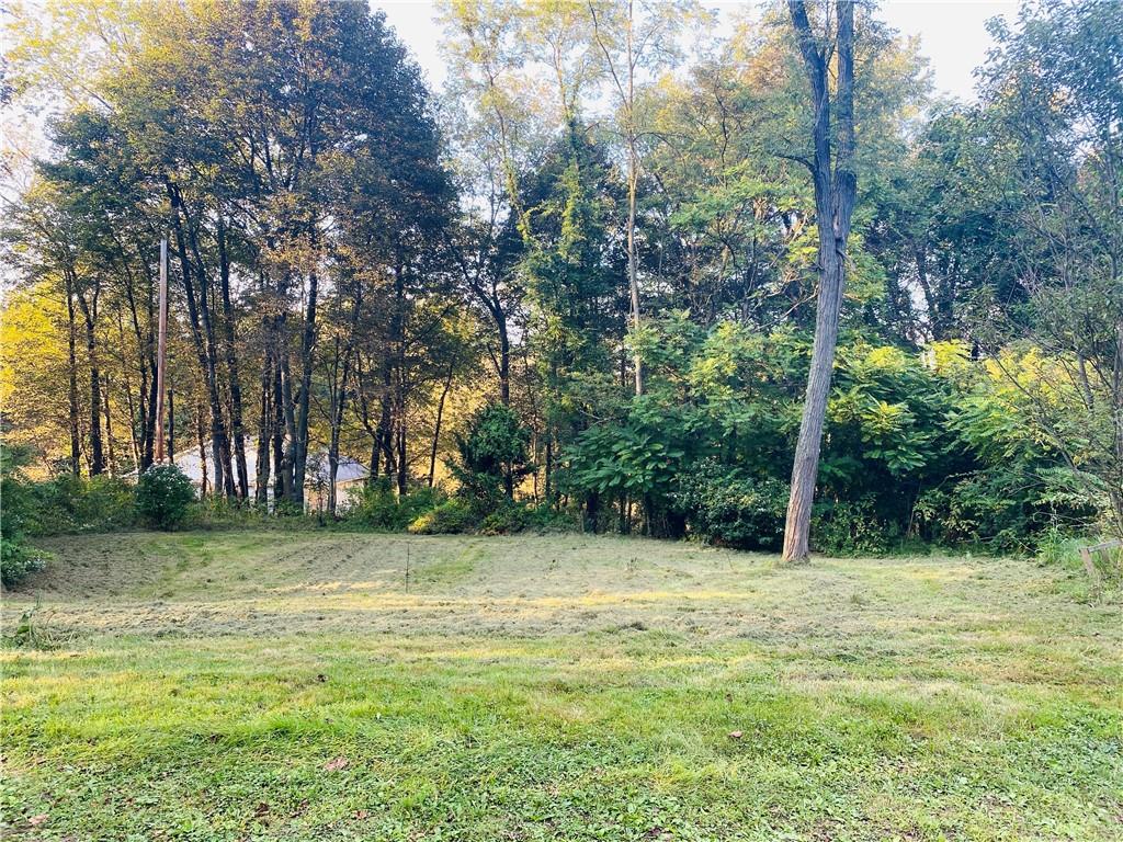 542 Enon Road Enon Valley, PA 16120 - Photo 8 of 11 a view of a trees in a yard