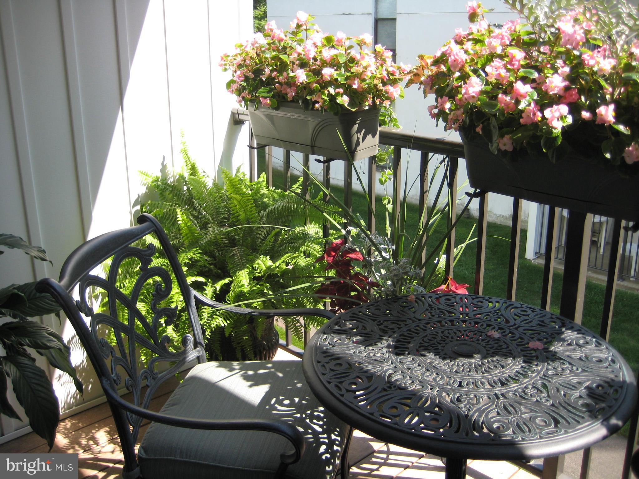 301 Byberry Road, Unit A29 Philadelphia, PA 19116 - Photo 48 of 49 Balcony while occupied
