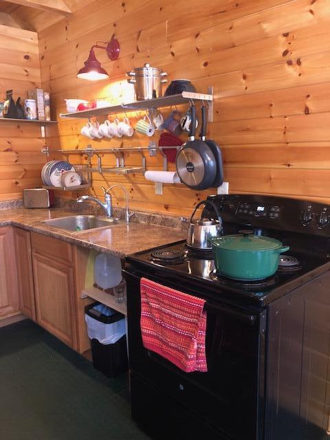 160 River Road New Portland, ME 04961 - Photo 10 of 26 Kitchen2