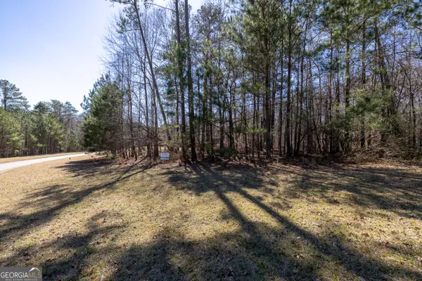 a view of yard with tree