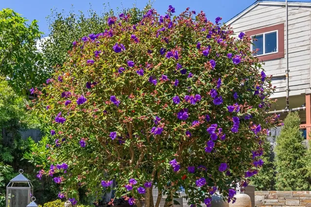 $1,398,000 | 219 Crescent Avenue, San Francisco, CA 94110