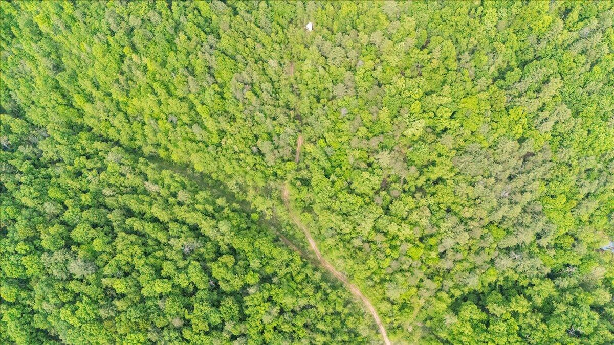 3994 Yates Road Shawsville, VA 24162 - Photo 17 of 40 40-DJI_20260516161030_0041_D