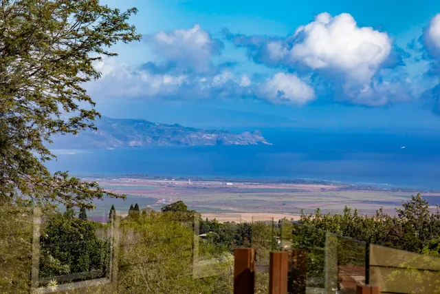 a view of a yard with an ocean