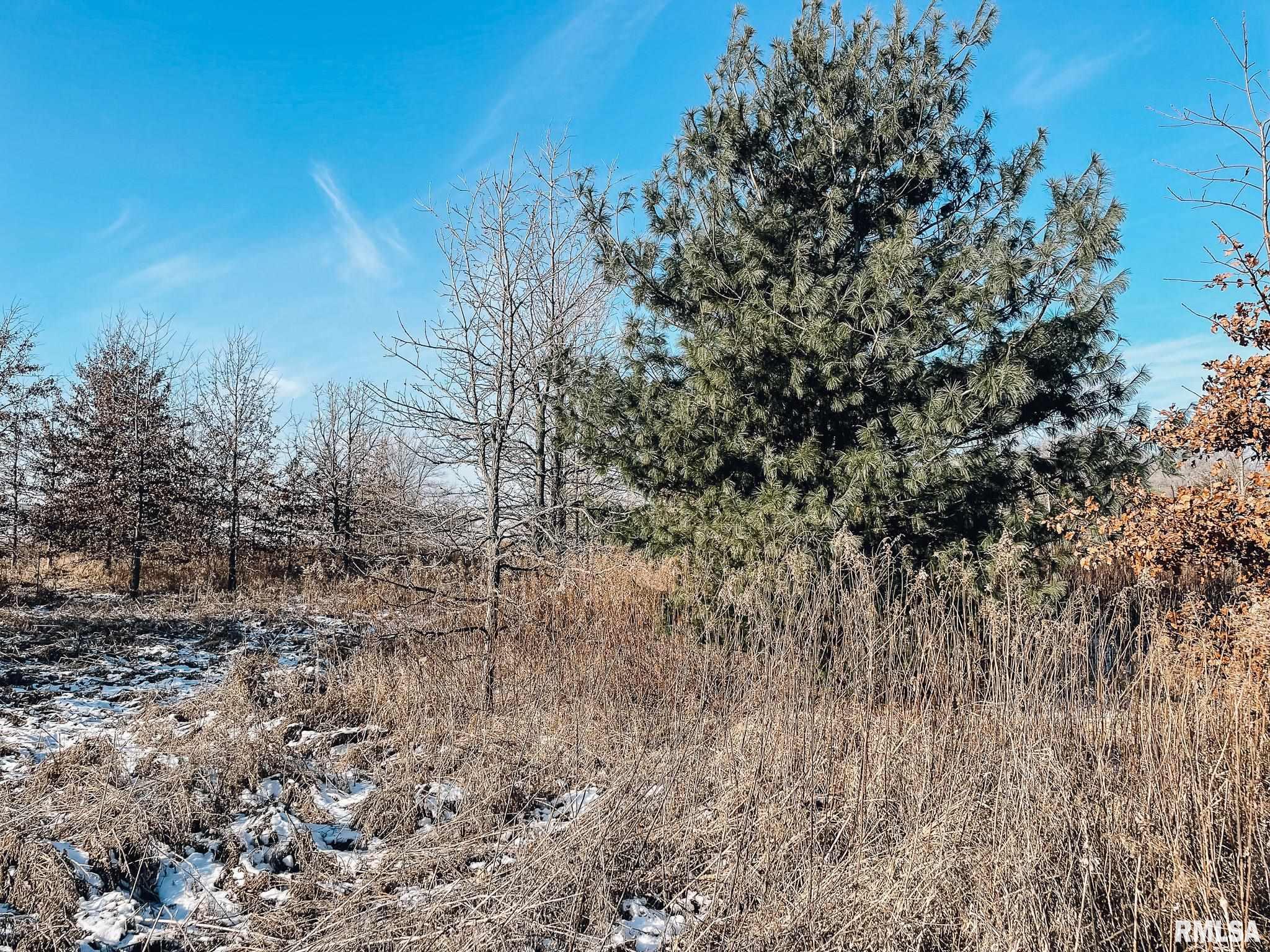 2635 North Knox Road Altona, IL 61414 - Photo 12 of 23 Gallery Image 12