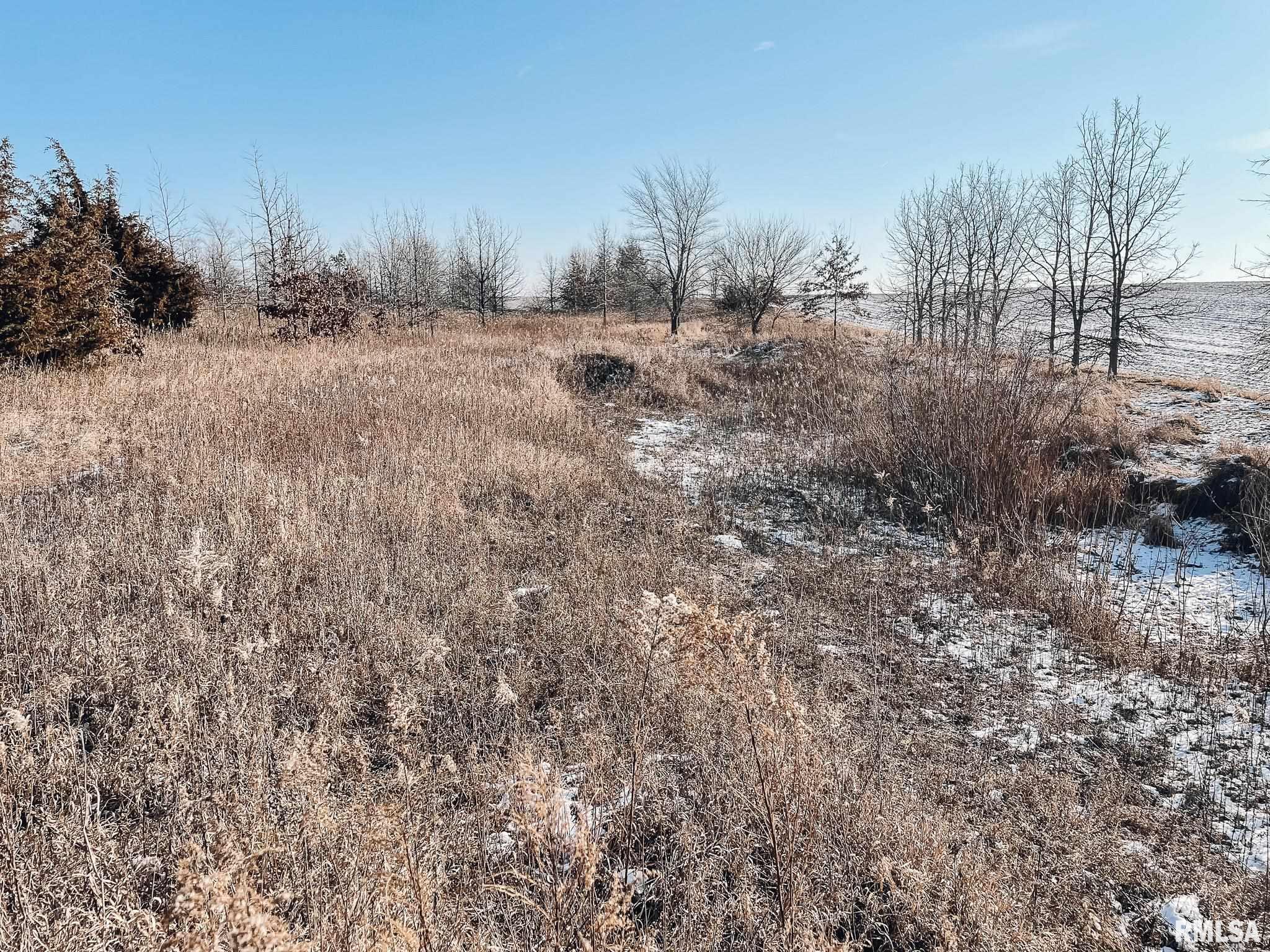 2635 North Knox Road Altona, IL 61414 - Photo 15 of 23 Gallery Image 15
