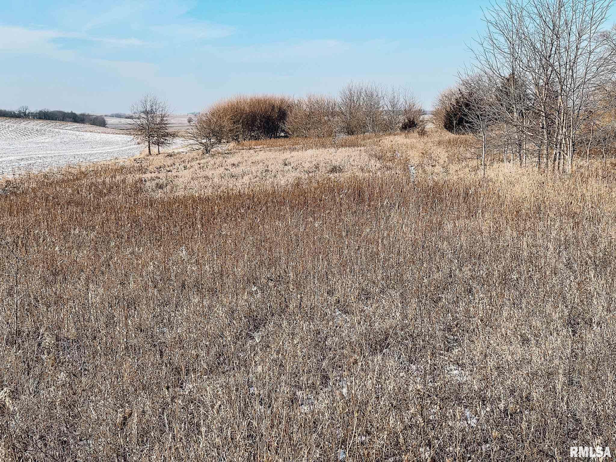 2635 North Knox Road Altona, IL 61414 - Photo 16 of 23 Gallery Image 16