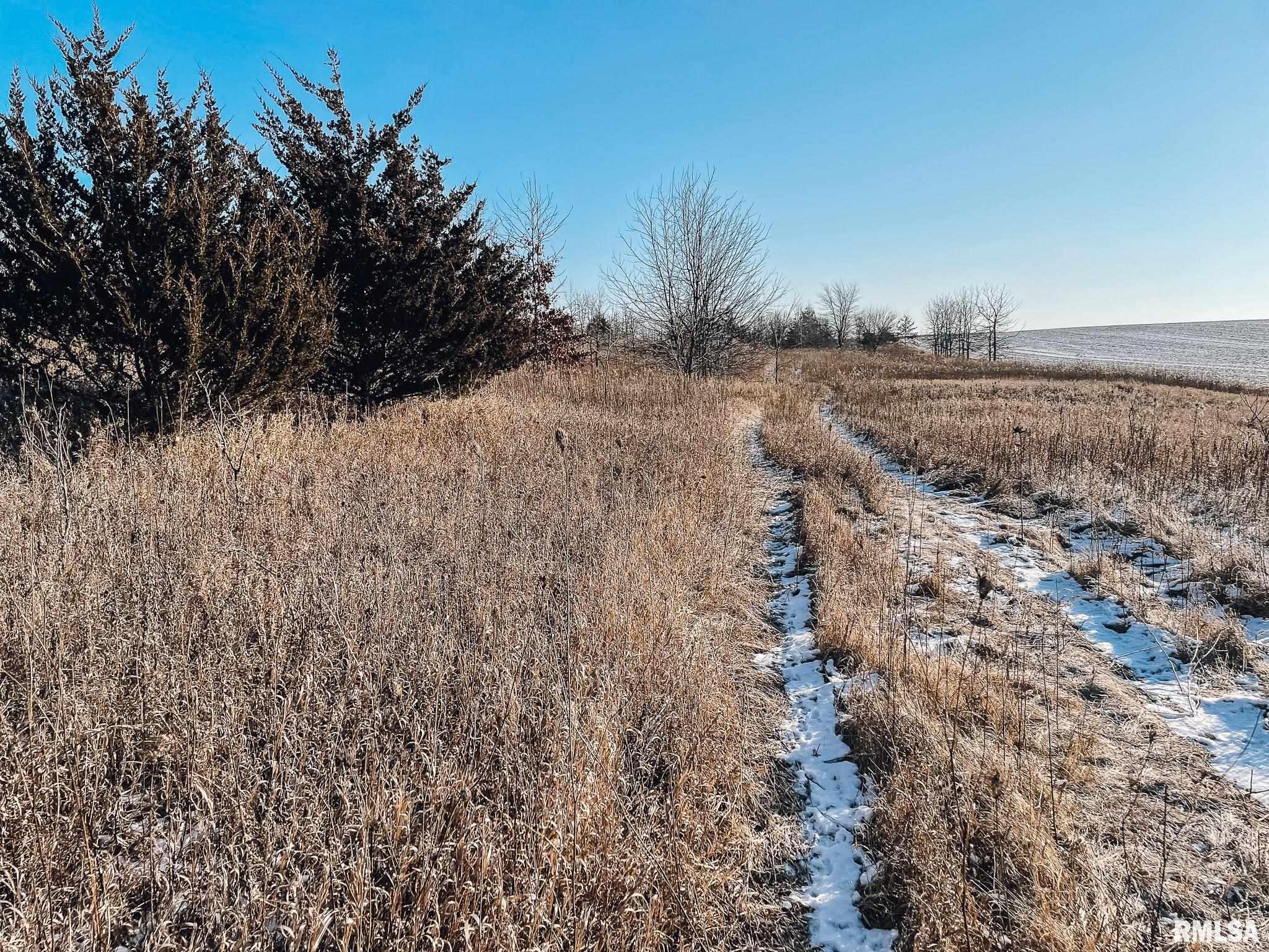 2635 North Knox Road Altona, IL 61414 - Photo 6 of 23 Gallery Image 6