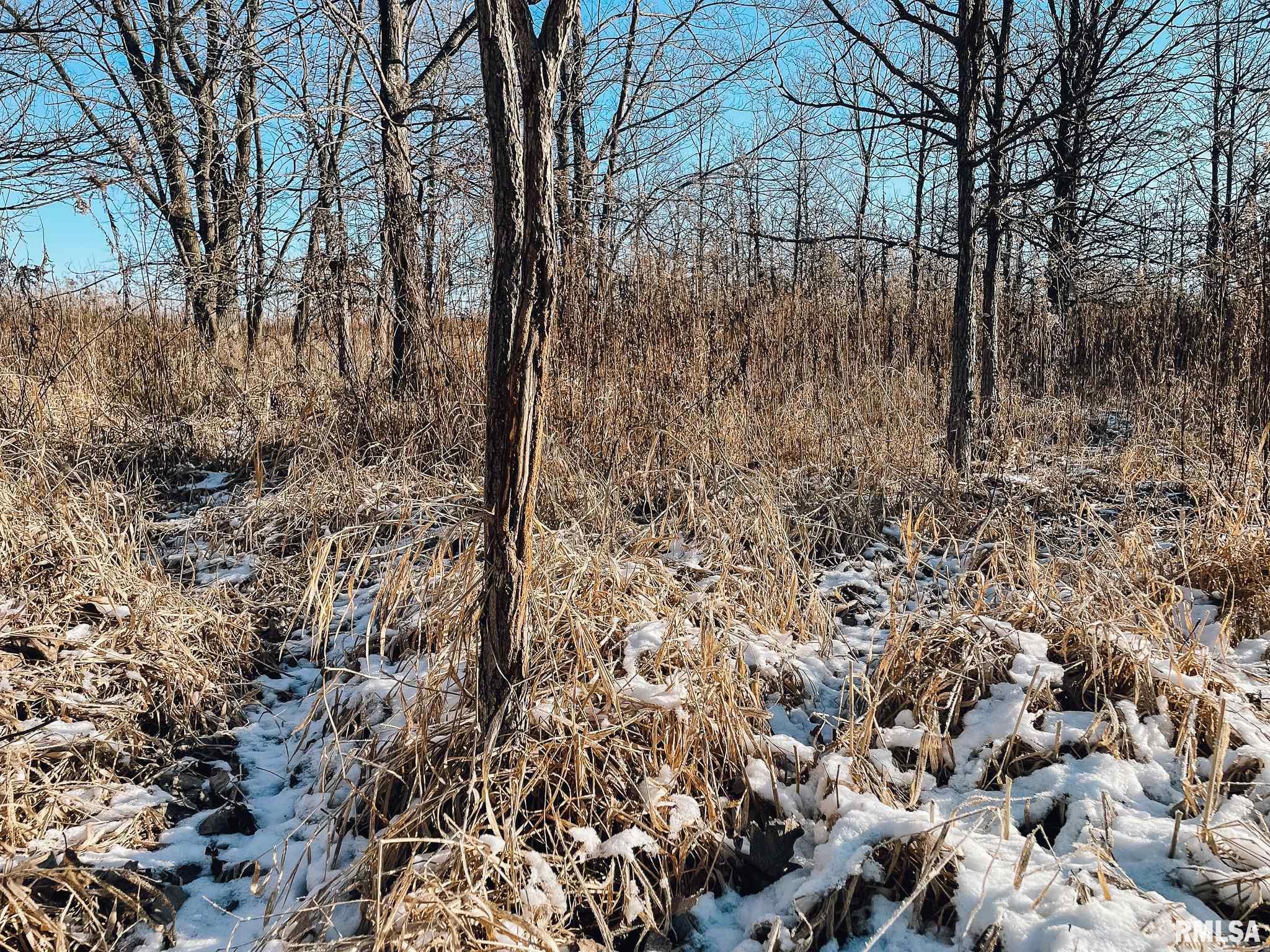 2635 North Knox Road Altona, IL 61414 - Photo 7 of 23 Gallery Image 7