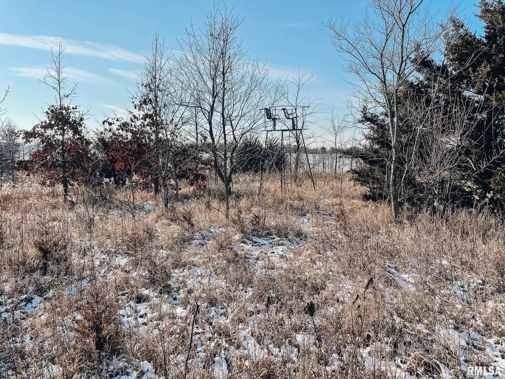 2635 North Knox Road Altona, IL 61414 - Photo 8 of 23 Gallery Image 8