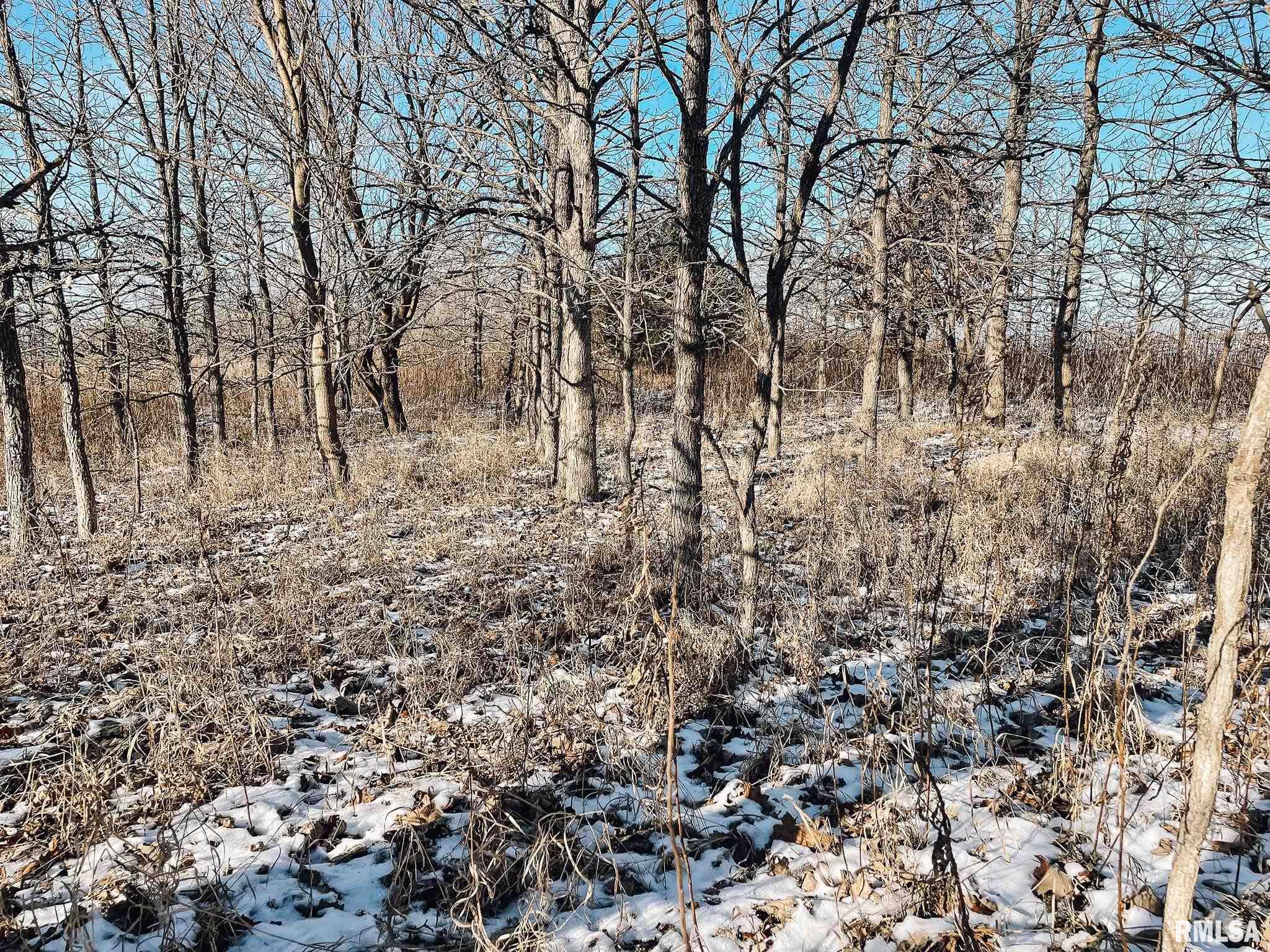 2635 North Knox Road Altona, IL 61414 - Photo 10 of 23 Gallery Image 10