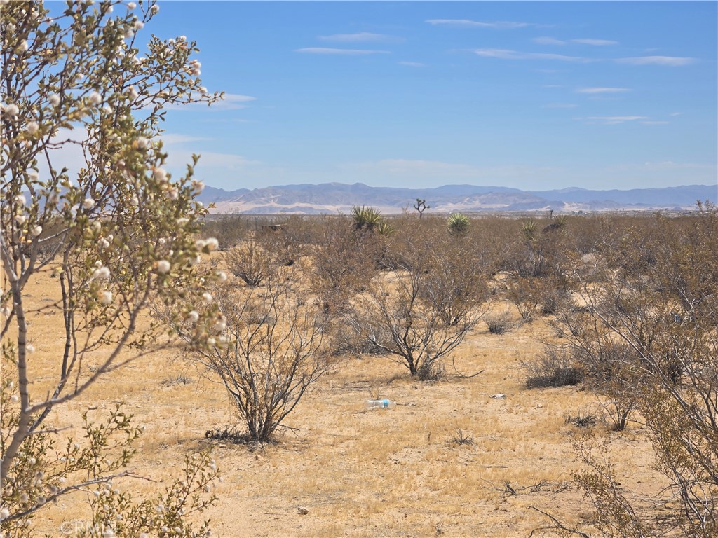 1577 Mc Garry Road Joshua Tree, CA 92252 - Photo 3 of 8