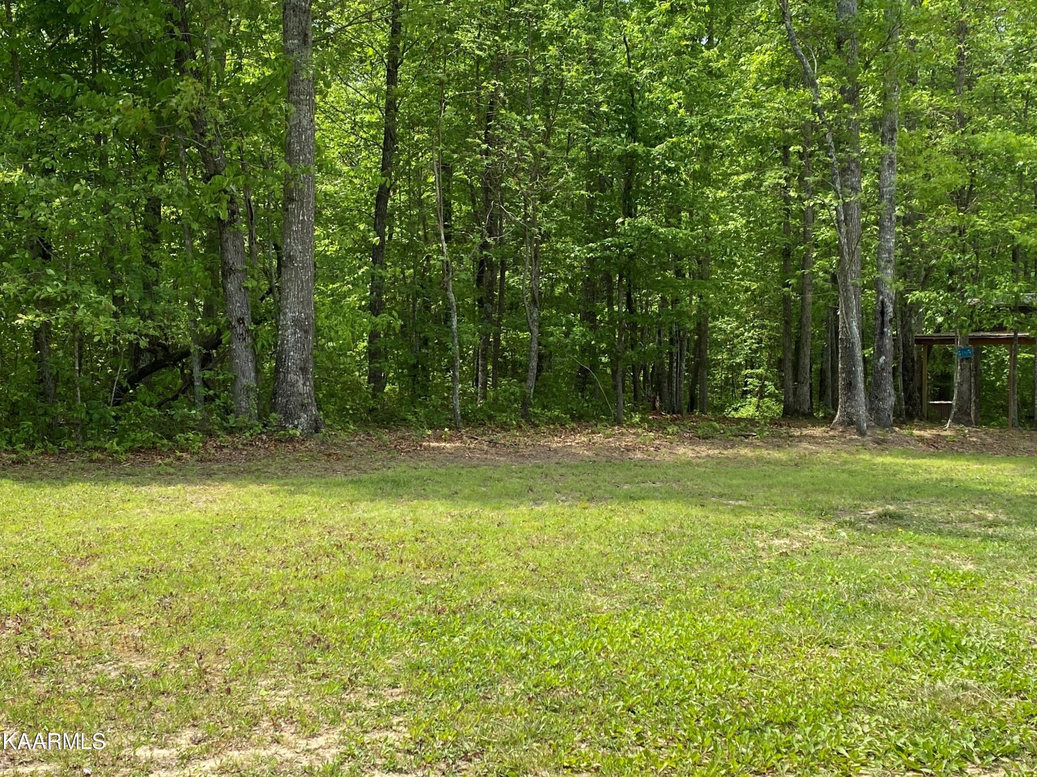 0 Lovejoy Road Sparta, TN 38583 - Photo 8 of 10