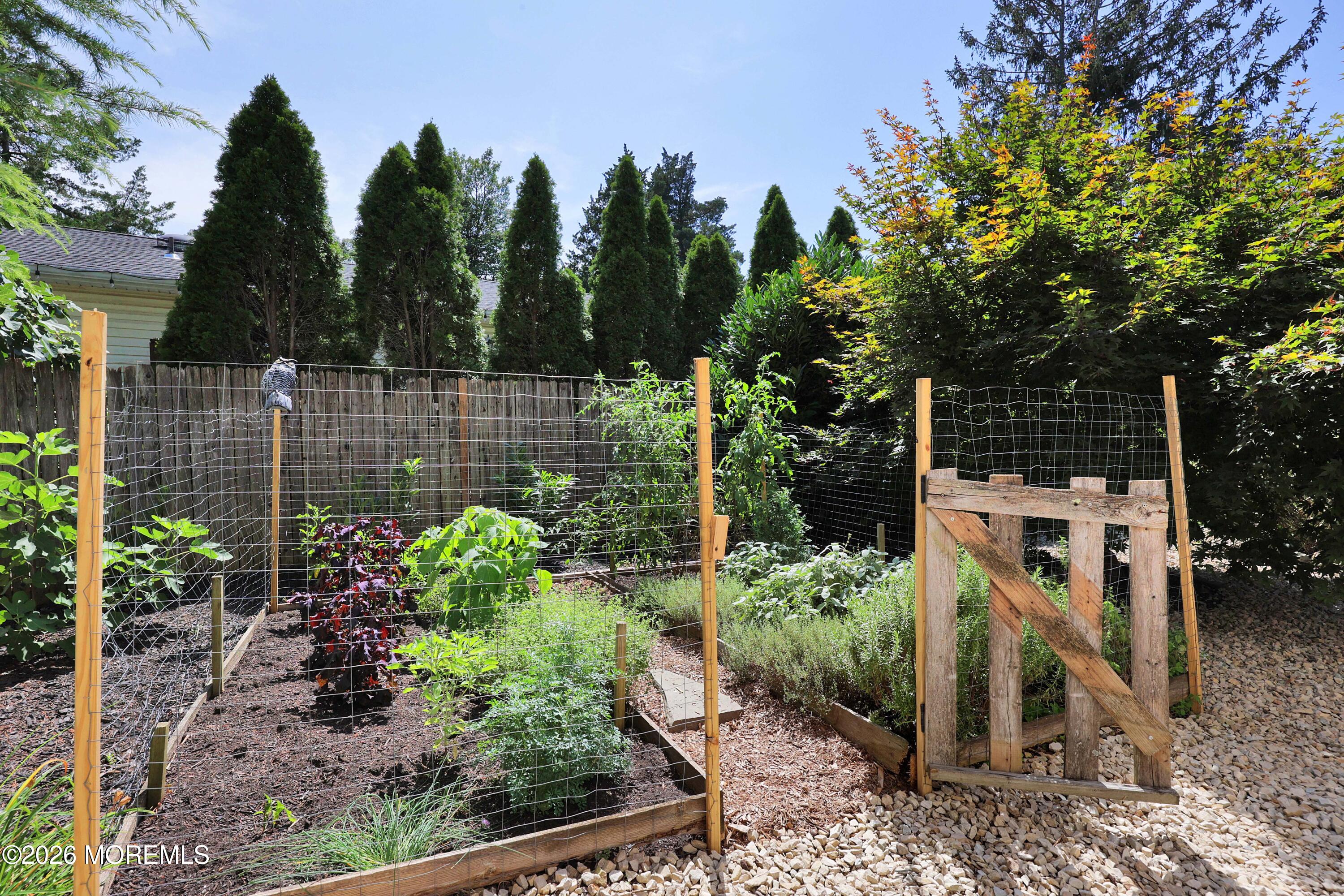 1417 Dorsett Dock Road Point Pleasant, NJ 08742 - Photo 46 of 51 758A6605_6_7_8_9