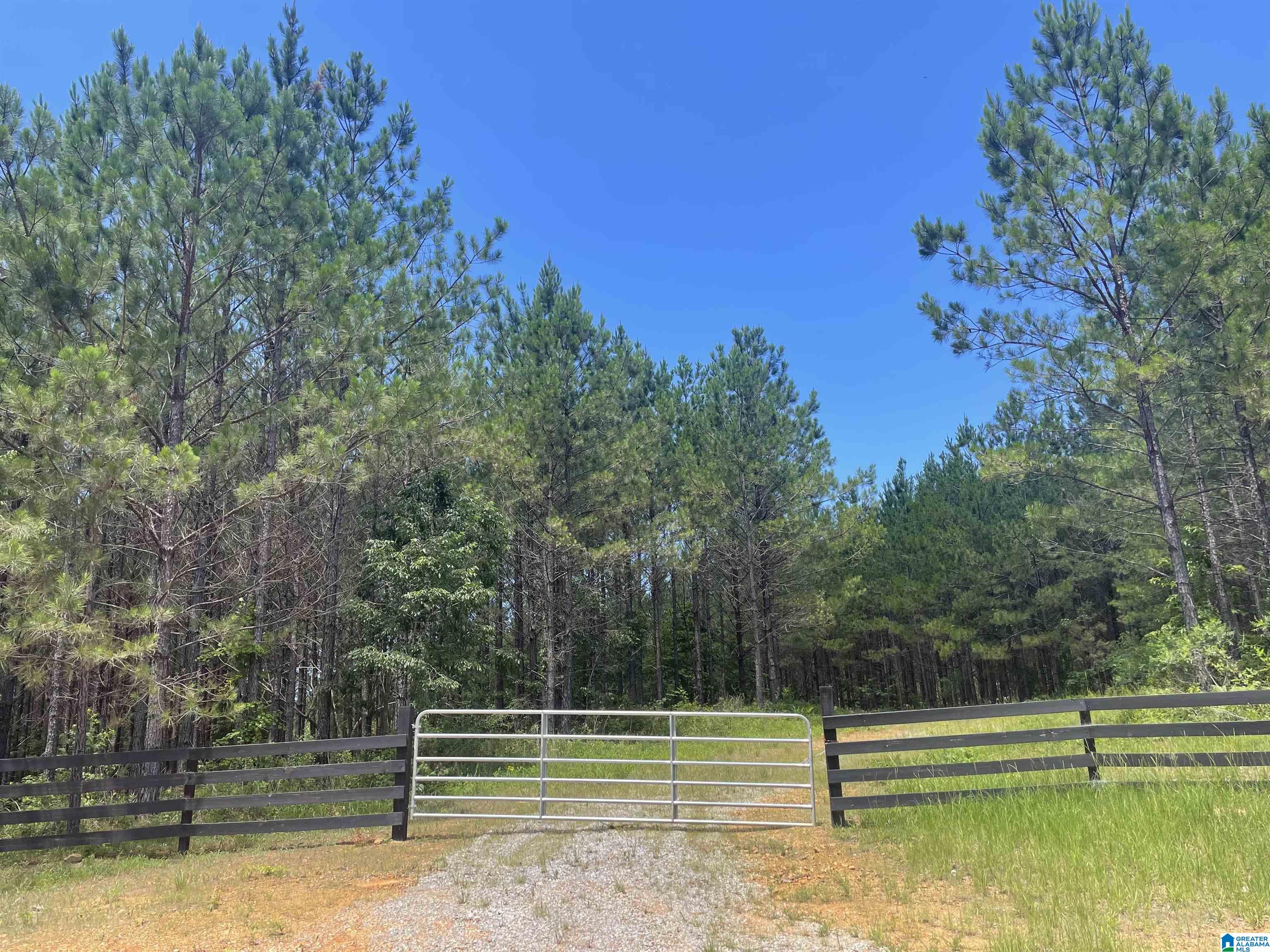 0 Chelsea Farms Road, Unit 24 Chelsea, AL 35043 - Photo 12 of 37