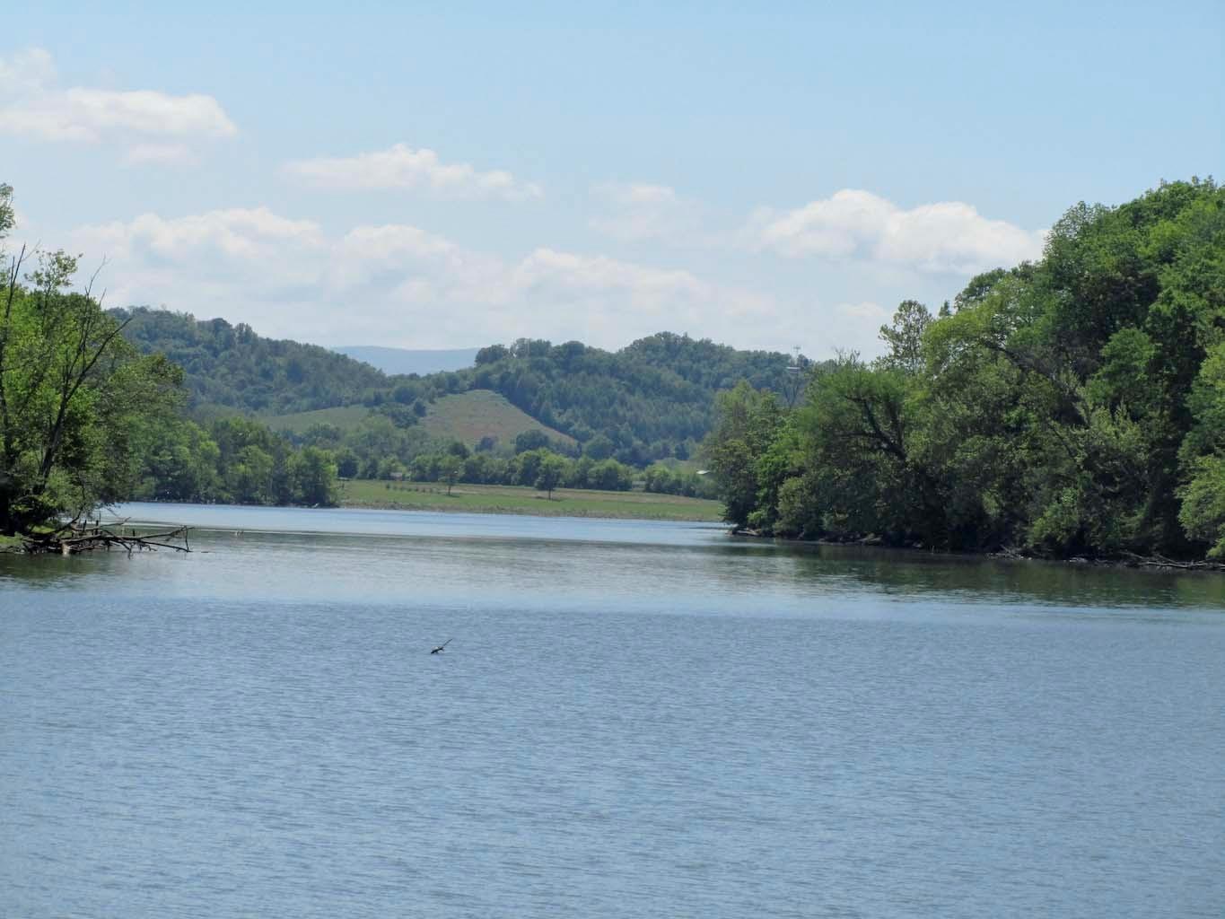 0 Hodges Ferry Road, Unit 1 Kodak, TN 37764 - Photo 15 of 22 15