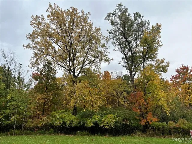 $59,000 | Vl Milestrip Road, Buffalo, NY 14219