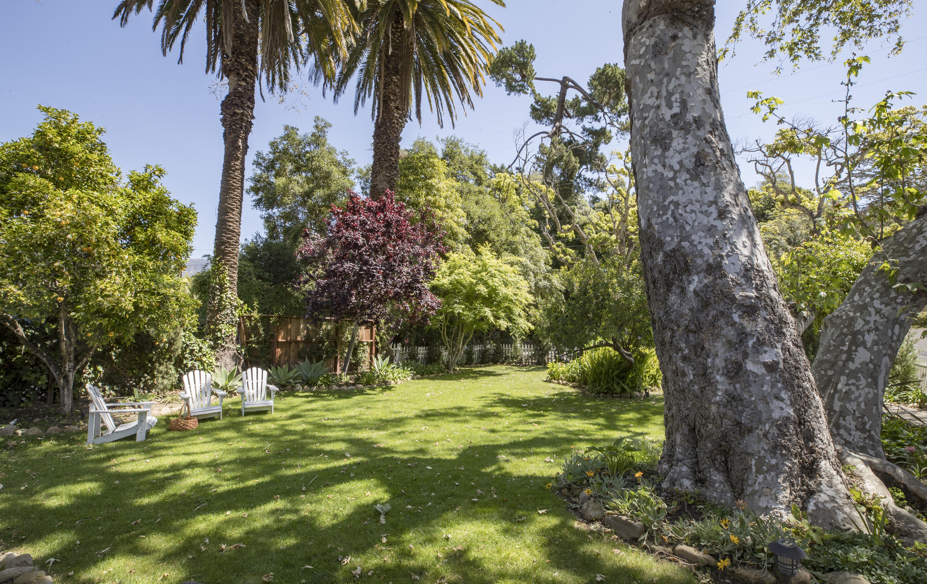 43 Humphrey Road Montecito, CA 93108 - Photo 3 of 17 a view of outdoor space with a garden
