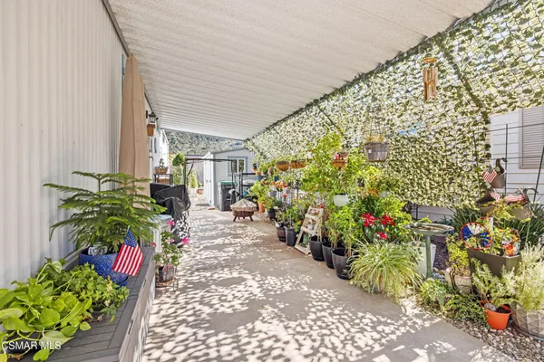 a view of a bunch of flowers