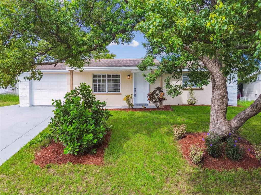 9411 Rainbow Lane Port Richey, FL 34668 - Photo 33 of 35 Gallery Image 33