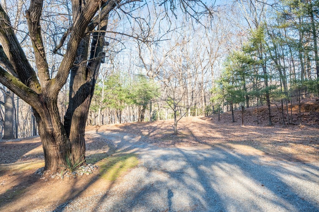 174 Developmental Road Stuart, VA 24171 - Photo 33 of 68 Gallery Image 33