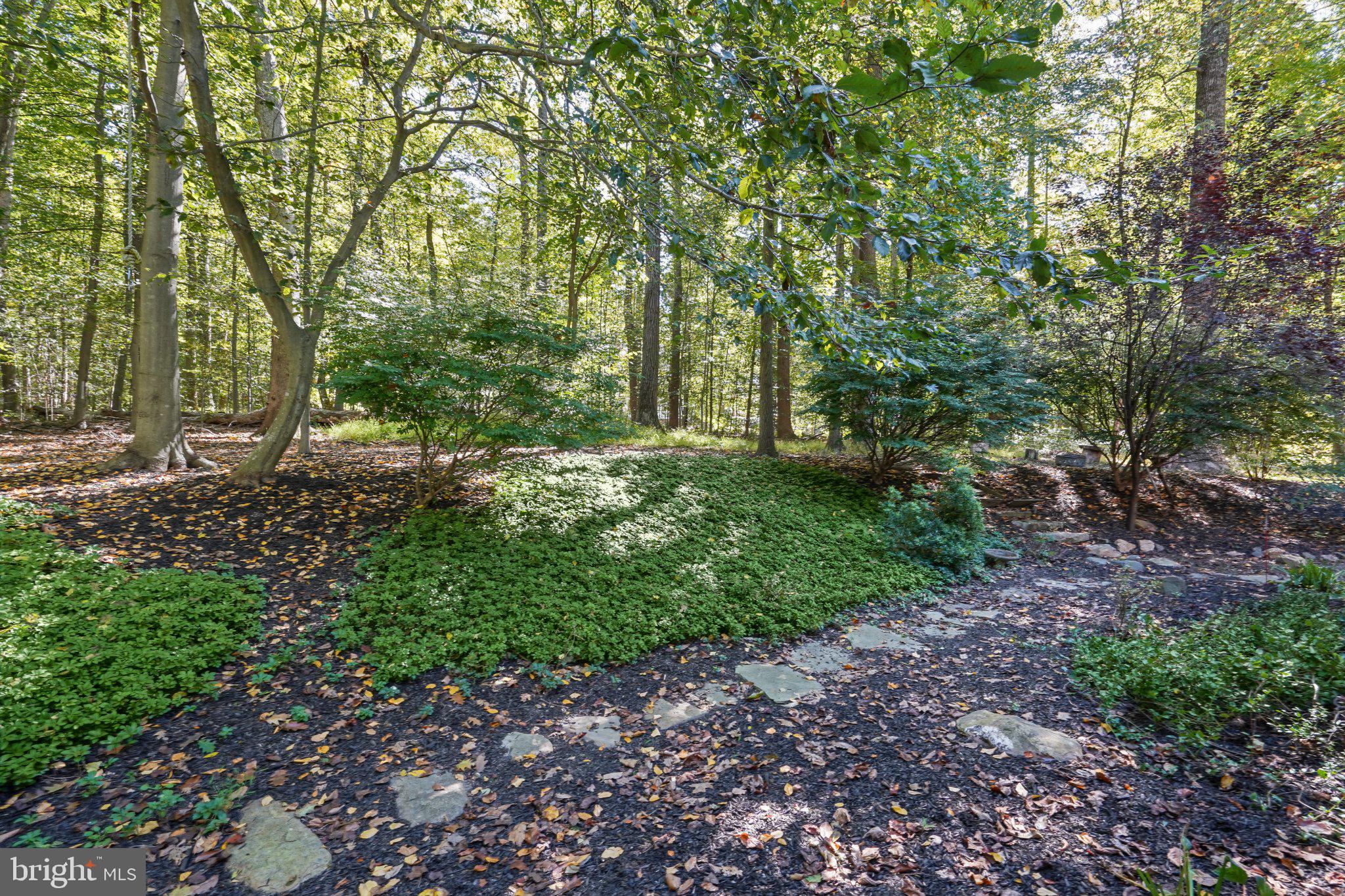 2318 Blue Mt Road Monkton, MD 21111 - Photo 66 of 72 Rear Exterior