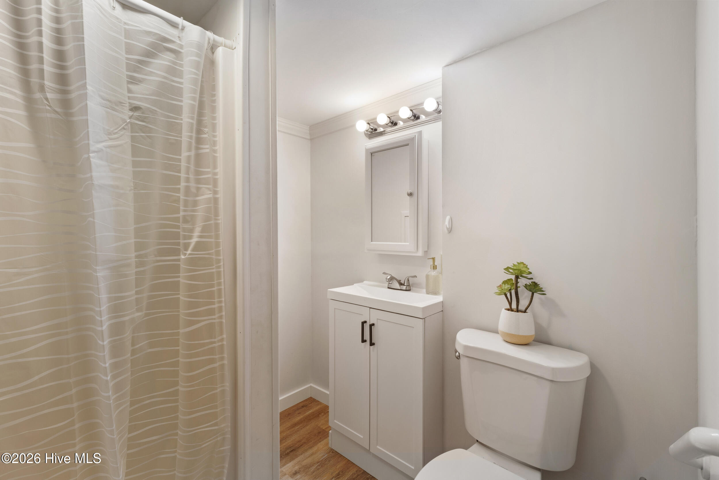 7012 Murrayville Road Wilmington, NC 28411 - Photo 22 of 30