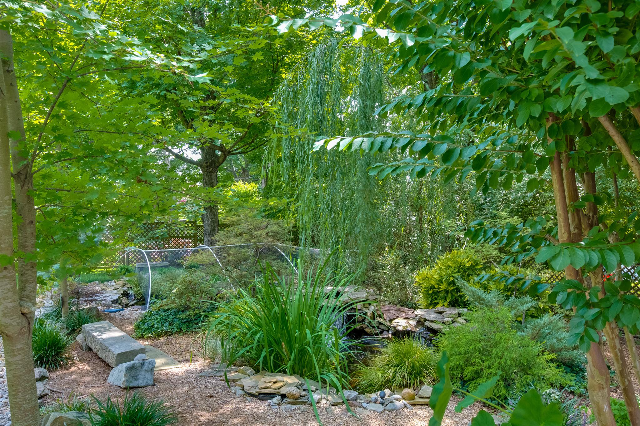317 North Garner Street Springfield, TN 37172 - Photo 7 of 30 a backyard of a house with lots of green space