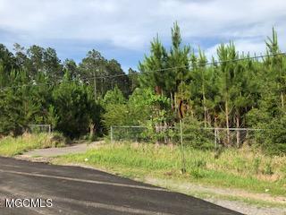 13118 Ridgeland Road Vancleave, MS 39565 - Photo 3 of 4 IMG_0926