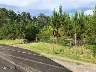 13118 Ridgeland Road Vancleave, MS 39565 - Photo 4 of 4 IMG_0927