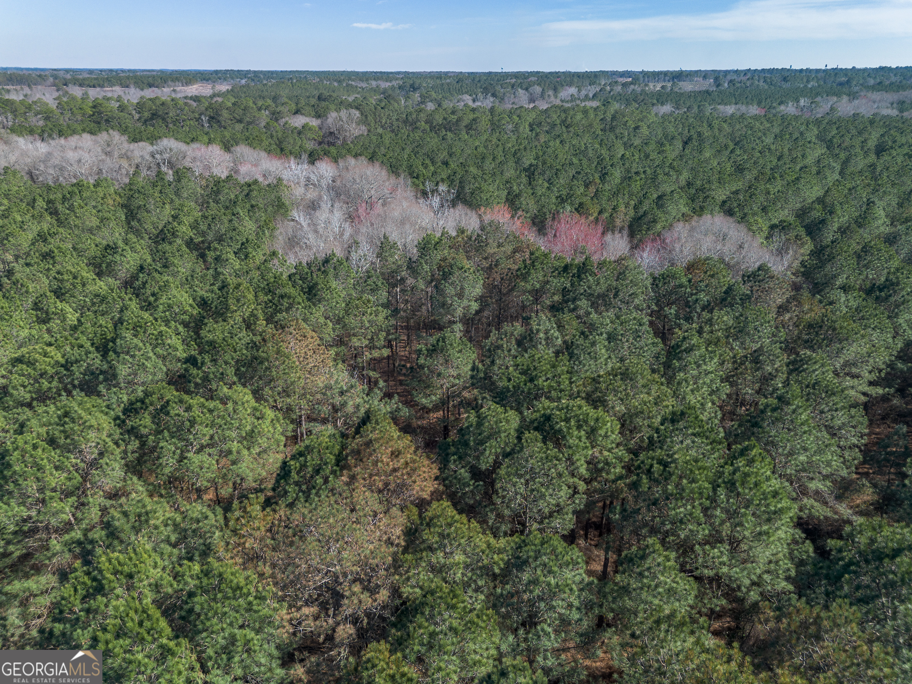 Lot 4 Ben Giddens Road Eastman, GA 31023 - Photo 3 of 10 a view of a forest with a yard