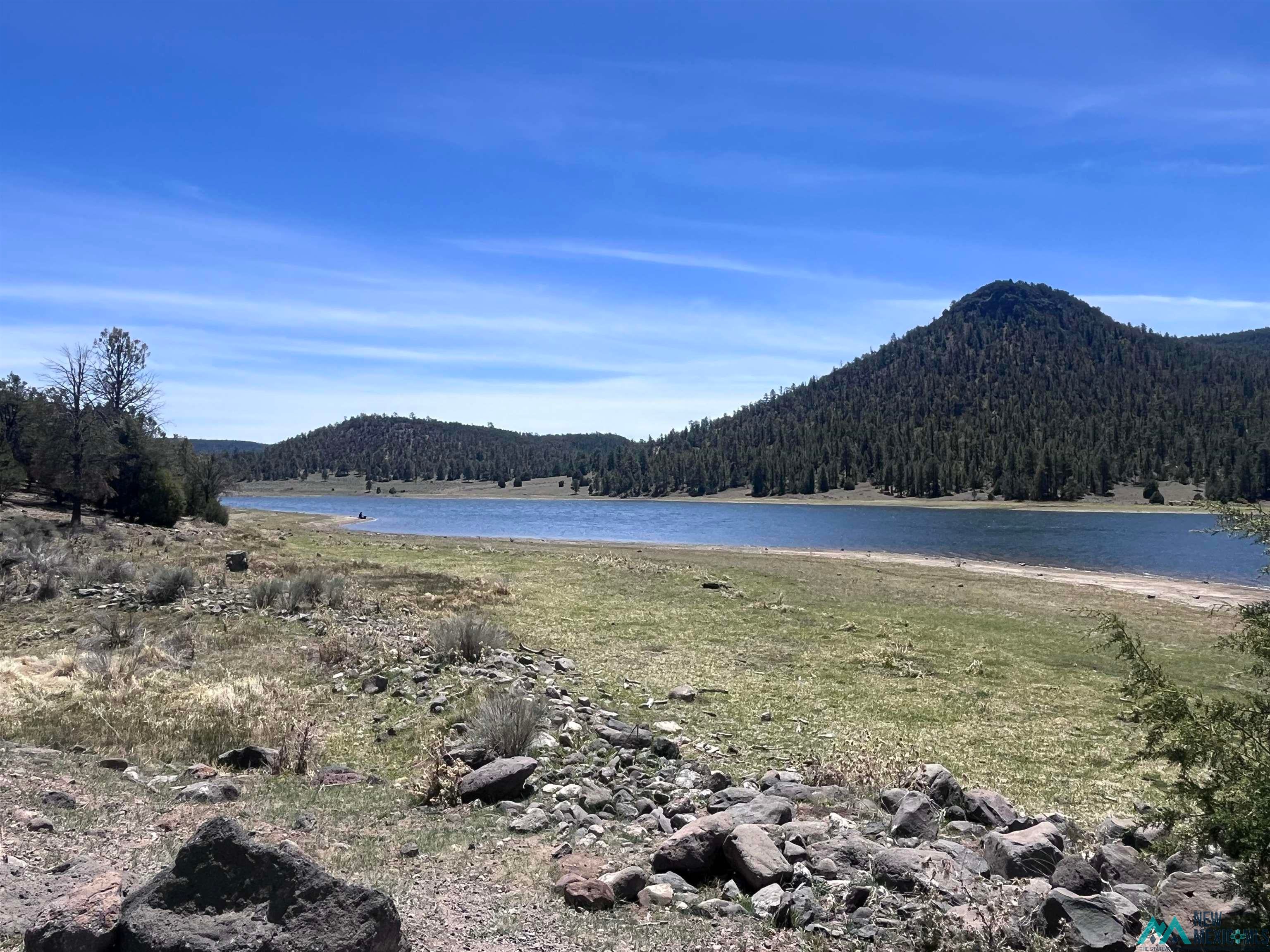 3 Silver Road Quemado, NM 87829 - Photo 26 of 32