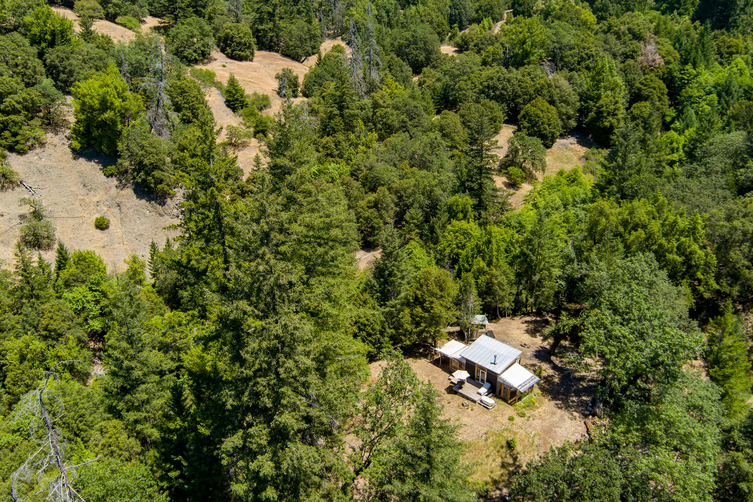 60890 Bell Springs Road Laytonville, CA 95454 - Photo 39 of 77 a view of a forest with a houses