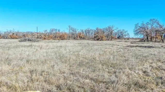 a view of dirt field with large trees