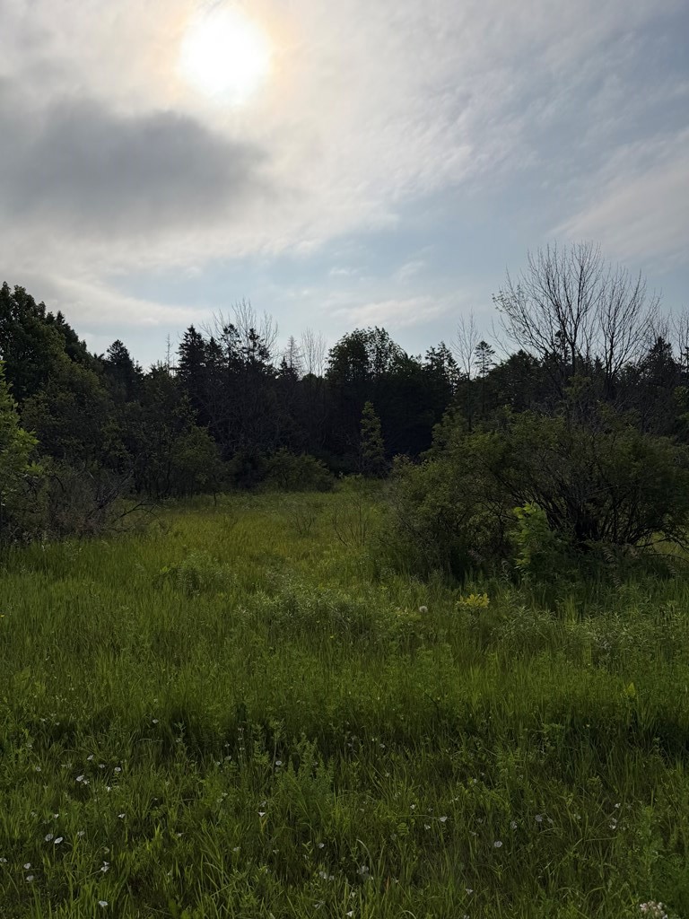 Hillcrest Road Sister Bay, WI 54234 - Photo 5 of 7
