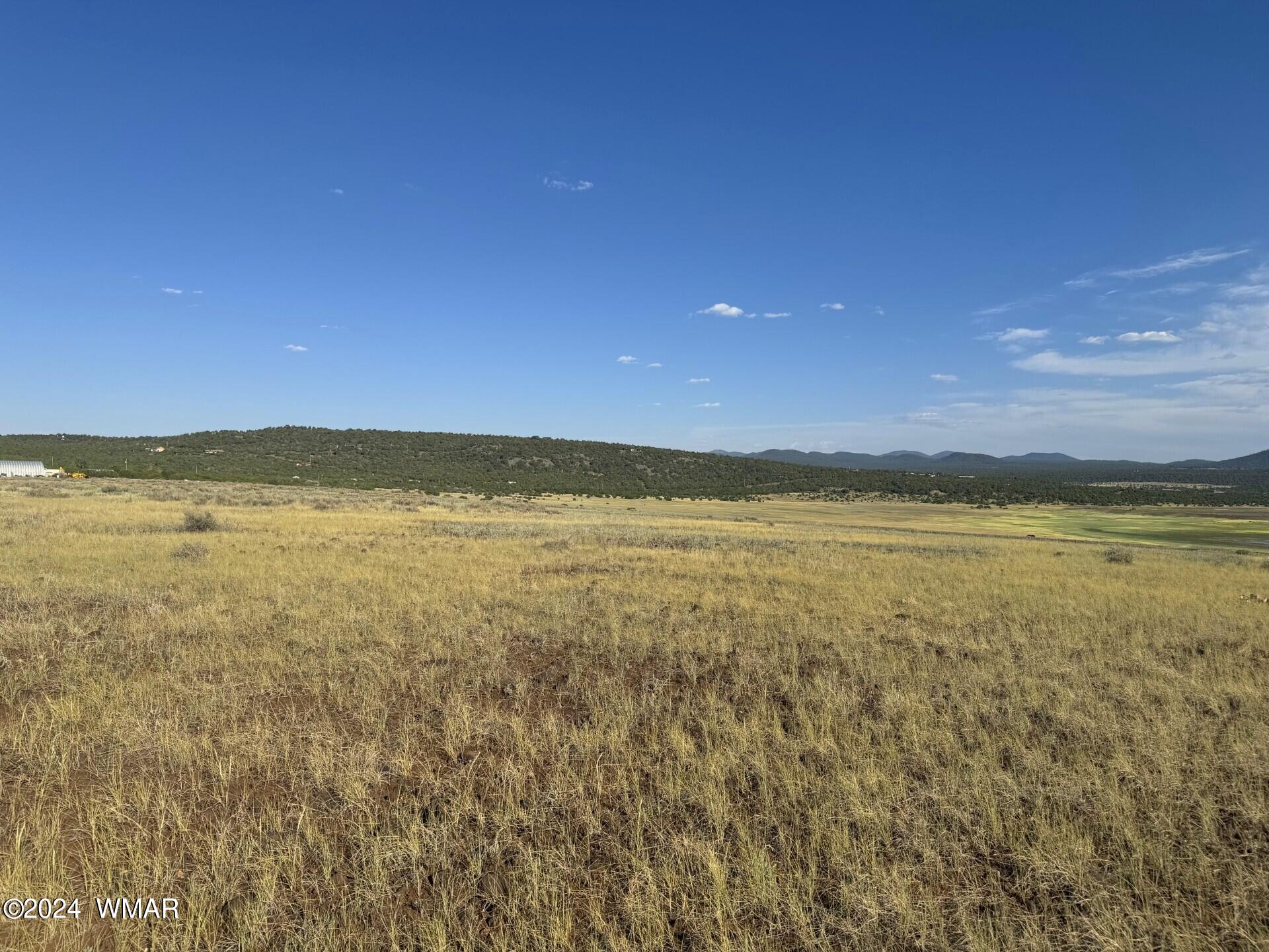 8147 North Concho, AZ 85924 - Photo 3 of 9 a view of an ocean and beach