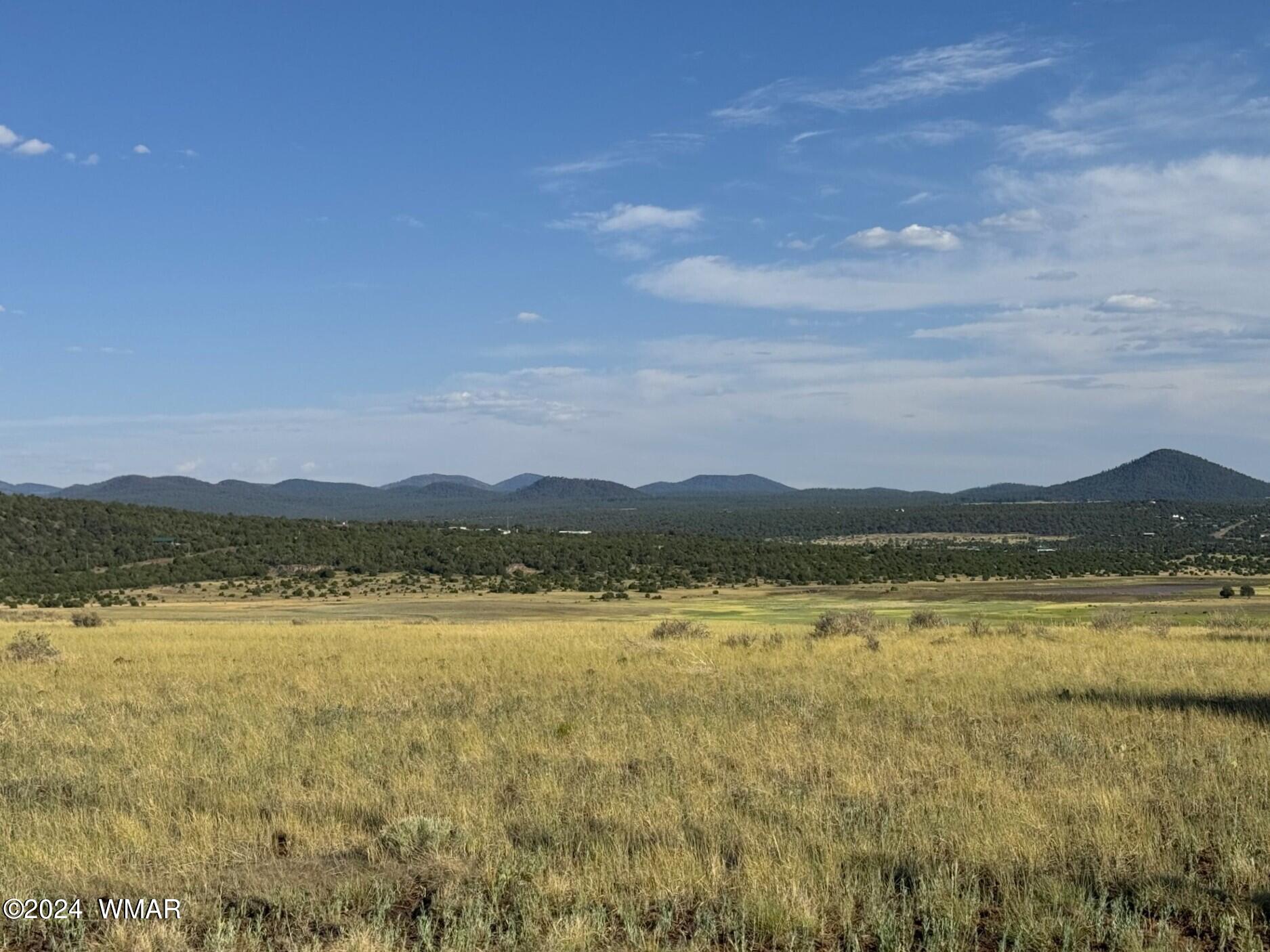 8147 North Concho, AZ 85924 - Photo 4 of 9 a view of lake with mountain